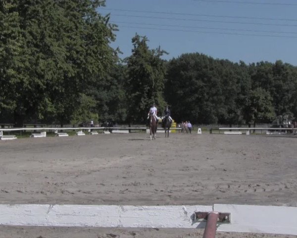 Reitturnier Recklinghausen 2016