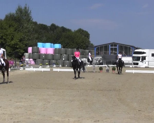 Reitturnier Bühren-Breckerfeld 2016