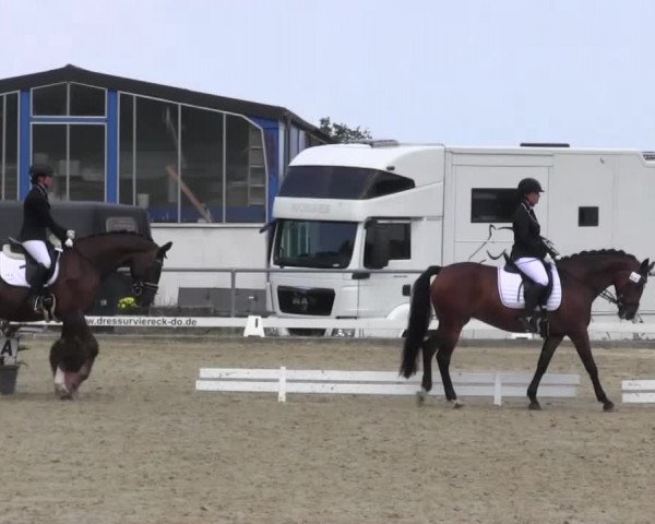 Reitturnier Bühren-Breckerfeld 2016