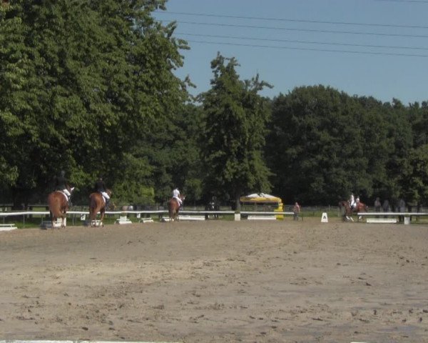 Reitturnier Recklinghausen 2016