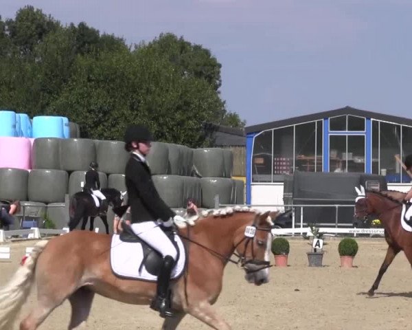 Reitturnier Bühren-Breckerfeld 2016