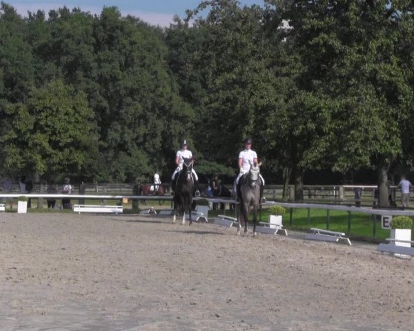 Reitturnier Recklinghausen 2016