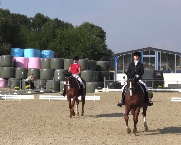 Reitturnier Bühren-Breckerfeld 2016