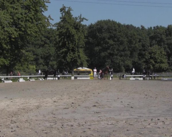 Reitturnier Recklinghausen 2016