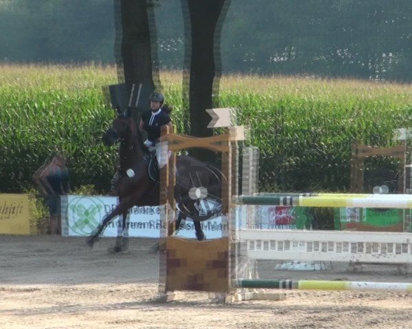 Reitturnier Recklinghausen 2016