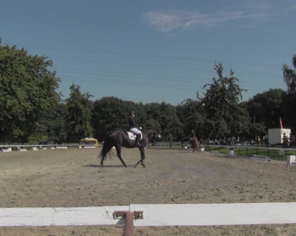 Reitturnier Recklinghausen 2016