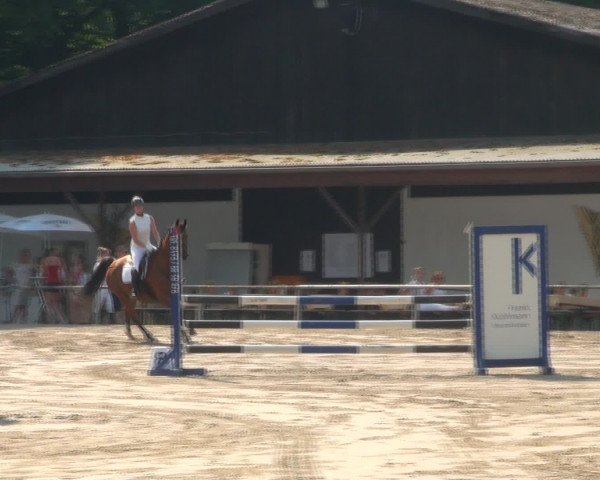 Reitturnier Recklinghausen 2016