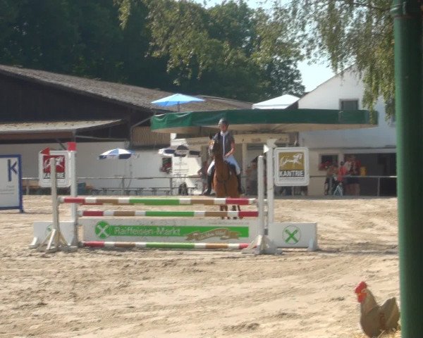 Reitturnier Recklinghausen 2016