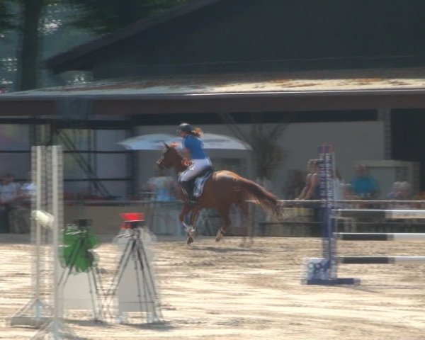 Reitturnier Recklinghausen 2016