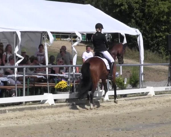 Reitturnier Bühren-Breckerfeld 2016