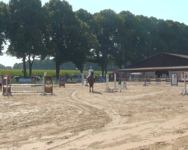 Reitturnier Recklinghausen 2016