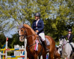 jumper Enjoy VK (KWPN (Royal Dutch Sporthorse), 2009, from Zirocco Blue)