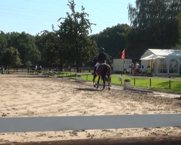 Reitturnier Recklinghausen 2016
