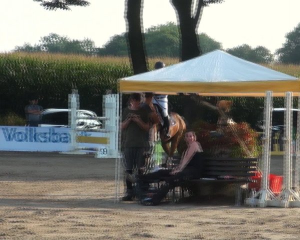 Reitturnier Recklinghausen 2016