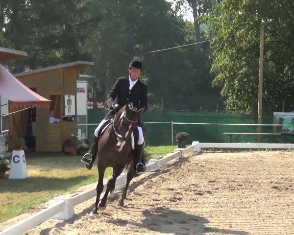 Reitturnier Düren - An der Kuhbrücke 2016