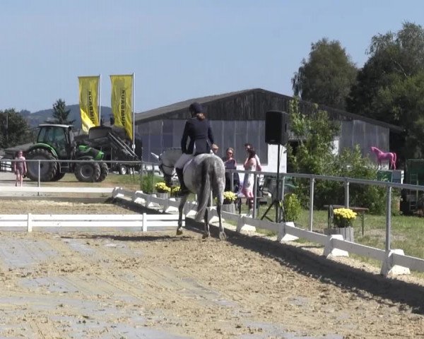 Reitturnier Bühren-Breckerfeld 2016