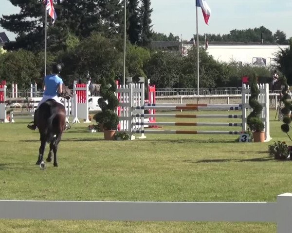 Reitturnier Düren - An der Kuhbrücke 2016