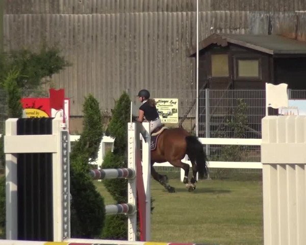 Reitturnier Düren - An der Kuhbrücke 2016