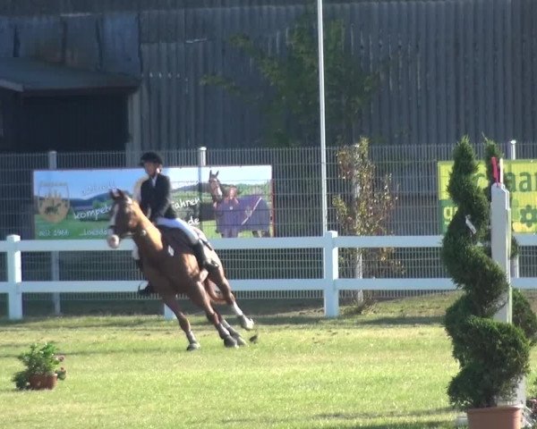 Reitturnier Düren - An der Kuhbrücke 2016