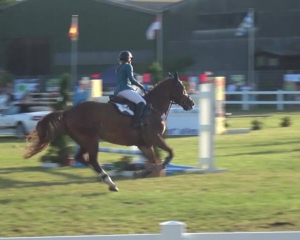 Reitturnier Düren - An der Kuhbrücke 2016