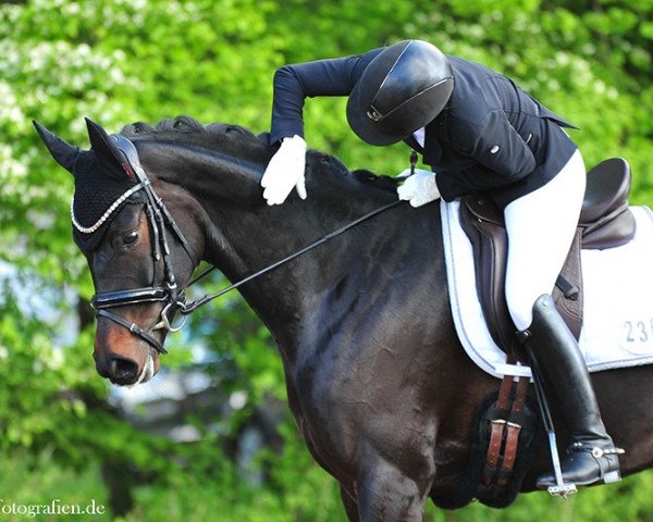 dressage horse Felice Noir 4 (Rhinelander, 2014, from Fürstenball)