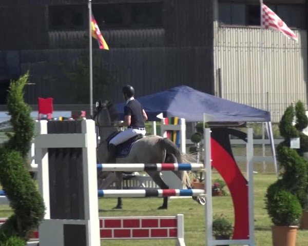 Reitturnier Düren - An der Kuhbrücke 2016
