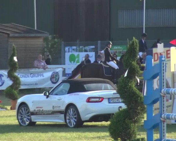 Reitturnier Düren - An der Kuhbrücke 2016