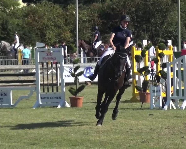 Reitturnier Düren - An der Kuhbrücke 2016