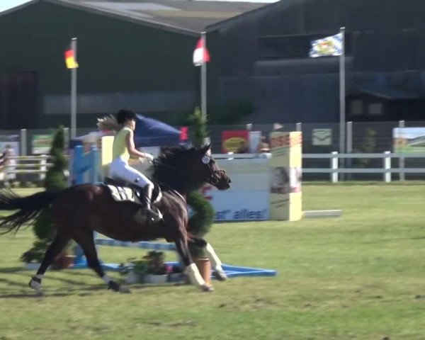 Reitturnier Düren - An der Kuhbrücke 2016