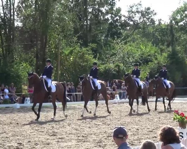 Reitturnier Düren - An der Kuhbrücke 2016