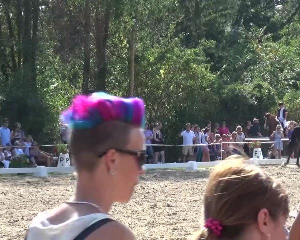 Reitturnier Düren - An der Kuhbrücke 2016