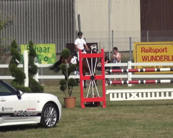 Reitturnier Düren - An der Kuhbrücke 2016