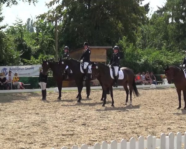 Reitturnier Düren - An der Kuhbrücke 2016
