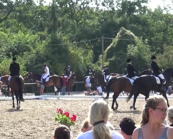 Reitturnier Düren - An der Kuhbrücke 2016