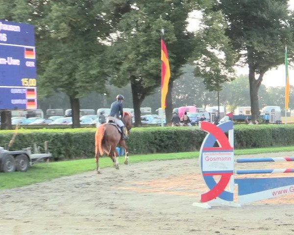 Reitturnier Recklinghausen 2016
