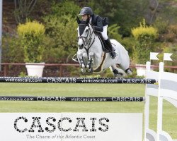 stallion S.I.E.C. Captain Future Z (Zangersheide riding horse, 2008, from Chellano Z)