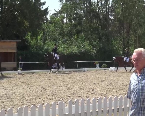 Reitturnier Düren - An der Kuhbrücke 2016