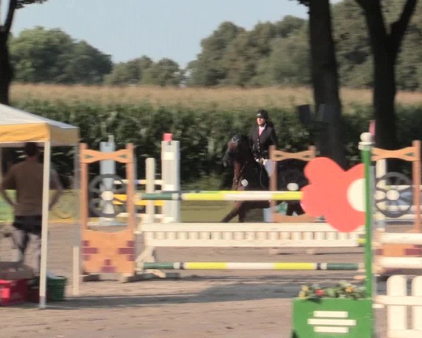 Reitturnier Recklinghausen 2016