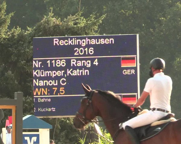 Reitturnier Recklinghausen 2016