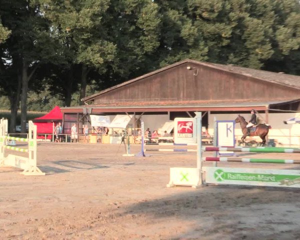 Reitturnier Recklinghausen 2016