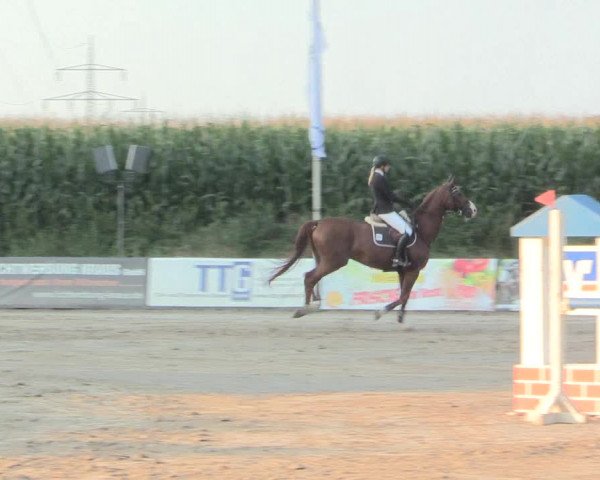 Reitturnier Recklinghausen 2016
