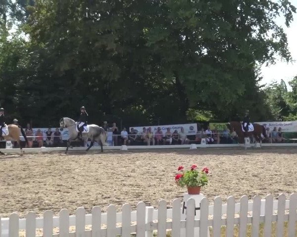 Reitturnier Düren - An der Kuhbrücke 2016