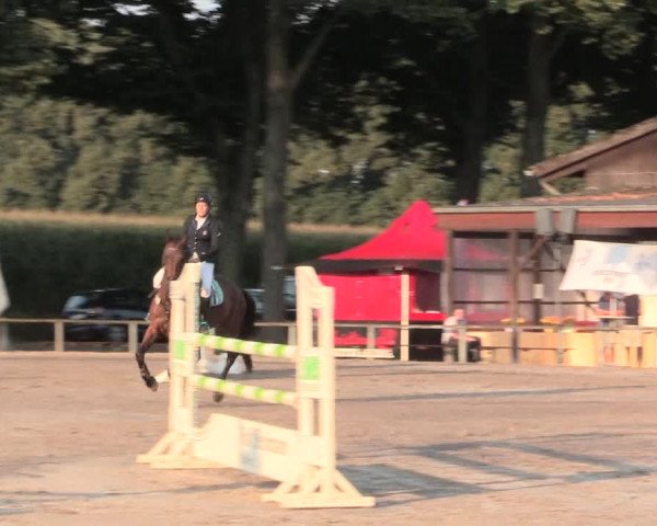 Reitturnier Recklinghausen 2016