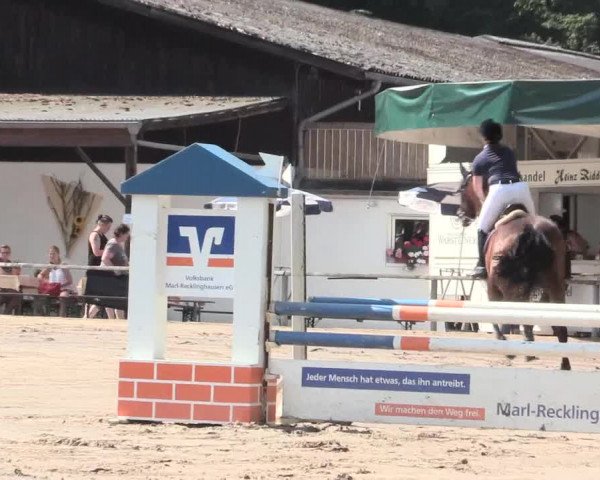 Reitturnier Recklinghausen 2016