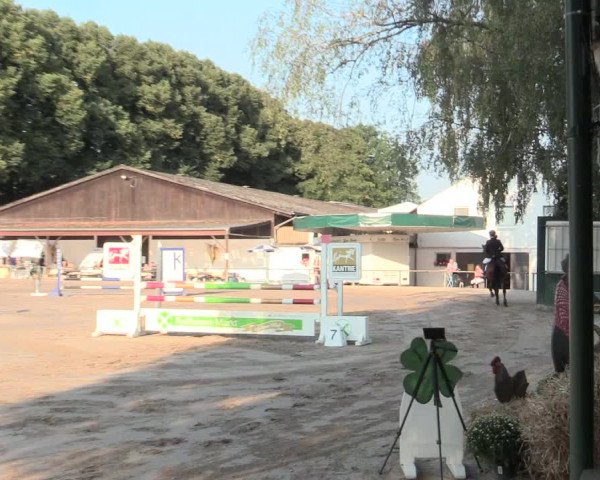 Reitturnier Recklinghausen 2016