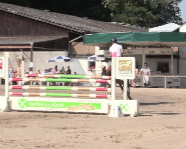 Reitturnier Recklinghausen 2016