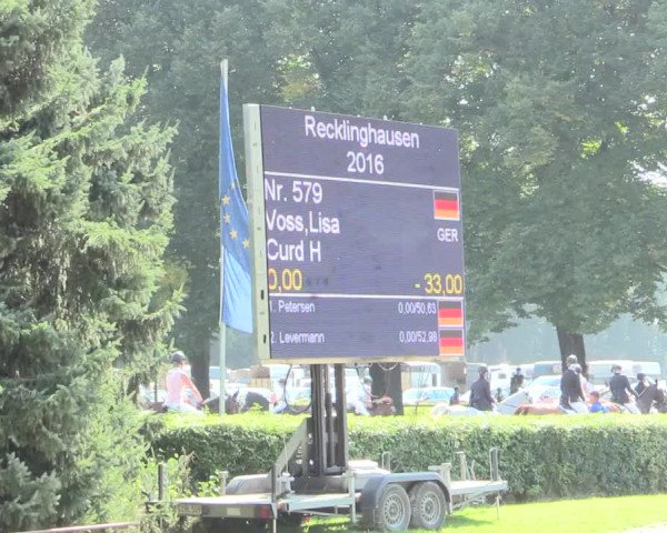 Reitturnier Recklinghausen 2016