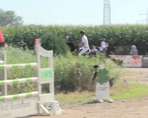 Reitturnier Recklinghausen 2016