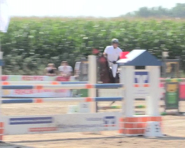 Reitturnier Recklinghausen 2016