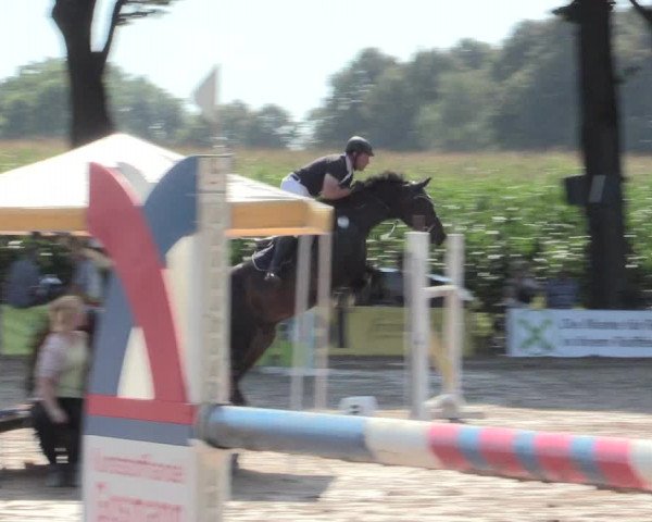 Reitturnier Recklinghausen 2016